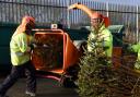Pembrokeshire residents can book free collection of their Christmas trees