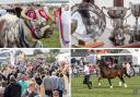 The Pembrokeshire County Show features two days of livestock, competitions, attractions, trade stands and much more.