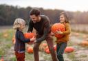 Are you looking for a pumpkin patch to visit before Halloween 2023? Take a look at the best spots in Pembrokeshire to visit according to Google Reviews.