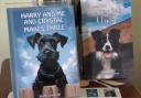 Steffi Gardner's latest book Harry and Me and Crystal Makes Three is out now
