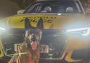 PD Tag helped locate the suspect.
