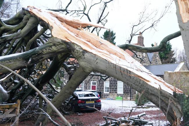 Fallen trees caused damage across the UK.