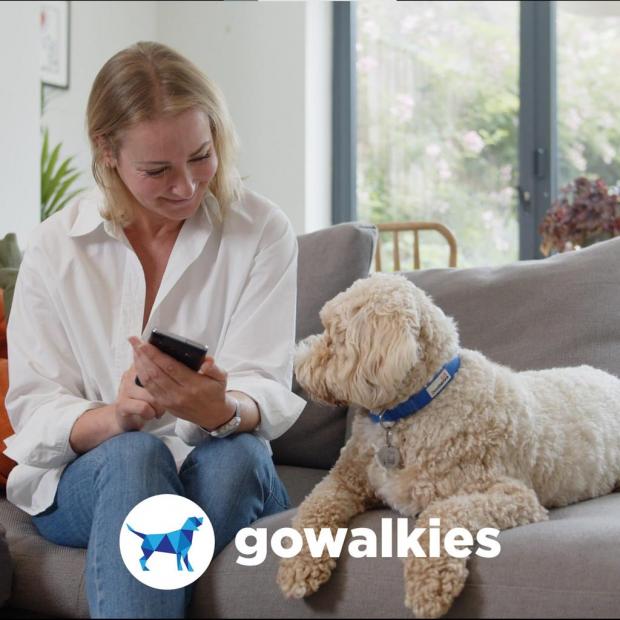 Western Telegraph: GoWalkies is quick and easy to use from both the walkers and owners perspective. (GoWalkies)