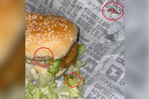 Western Telegraph: A photo posted on Facebook shows blood in a burger from KFC Pembroke Dock