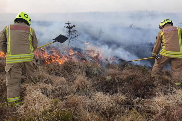 Firefighters tackled the blaze on Dinas Mountain using beaters. Picture: Operation Dawns Glaw Mid and West Wales Fire and Rescue Service