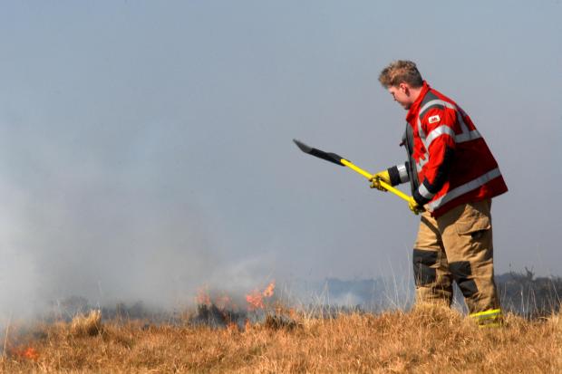 Firefighters extinguishing wildfires this week  Picture: Stuart Ladd