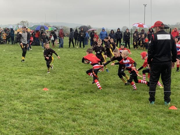 Western Telegraph: Under 8's tag rugby with Newbridge attacking Taibach. Anxious supporters watching in the drizzle