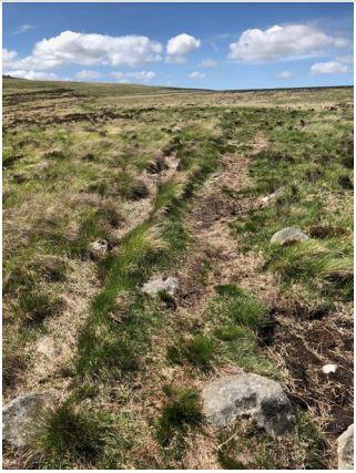 Western Telegraph: Dr Merrony believes that this could be the real Golden Road used as a link between Wales and Ireland in Roman times. Picture: Dr Mark Merrony