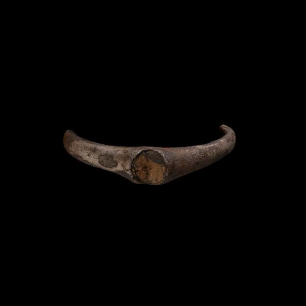 Western Telegraph: The fragment of silver ring found near Llawhaden. Picture: National Museum of Wales