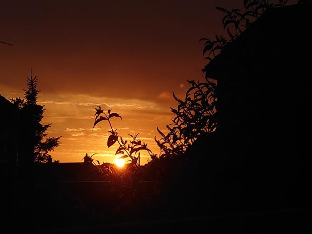 Western Telegraph: Sunset. Picture: Jaimie Gurney
