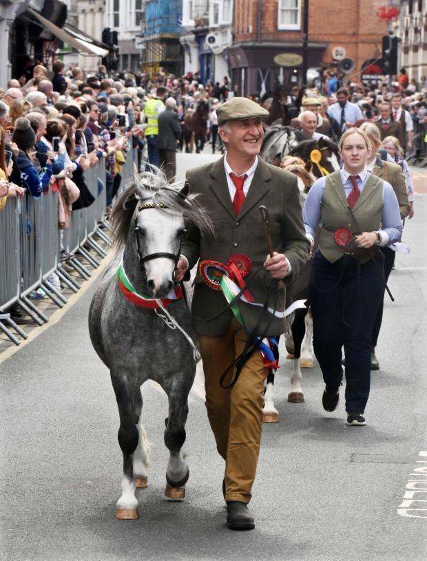 Western Telegraph: My little pony: Rod Lewis proudly leads Supreme Champion Cwm-Meudwy Bonwr through the packed streets of Cardigan at Barley Saturday. Picture: Stuart Ladd.