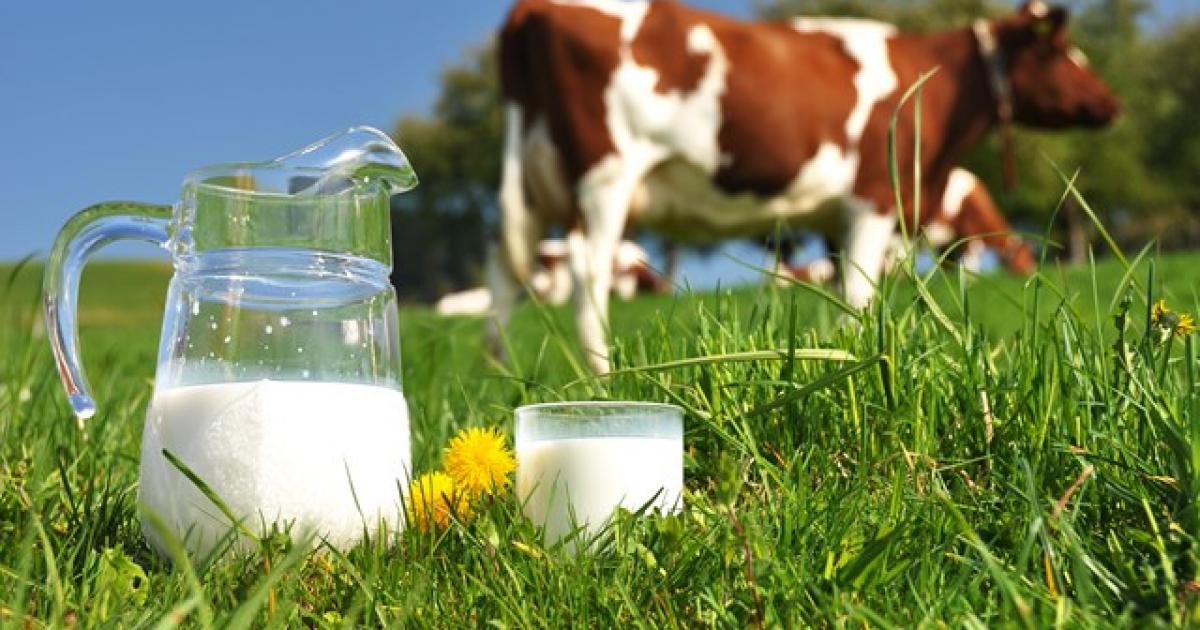 Farming union bosses raise a glass to World School Milk Day