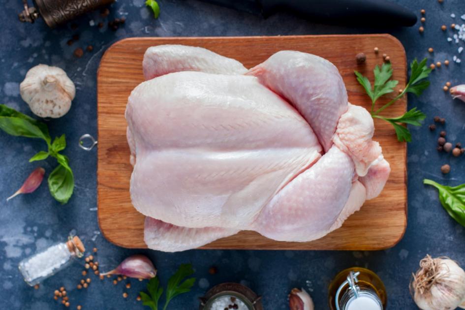 Salmonella vakaları arttıkça hindi, tavuk ve yumurta için uyarı