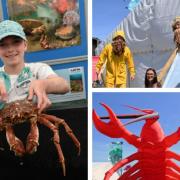 Pembrokeshire Fish Week will not take place in 2021. Pictured are scenes from a previous Fish Week. Pictures: Martin Cavaney