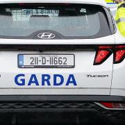 Irish police (gardai) confirmed the two-year-old was hit by a Jeep near Ballinagare on Friday. Picture: PA