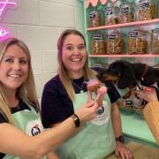 Ethel the Dachshund chooses her freshly-baked pupcake from Alli (left) and Kelly Fowler at the Pembrokeshire  Pet Bakery