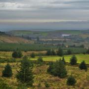 The application is to erect a 51 metre telecommunications tower at Pantmaenog, Rosebush. Picture: Copyright Deborah Tilley licensed for reuse under the Creative Commons Licence