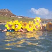 The first Daffy Dip for Dewi took place at Whitesands.