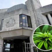 A Dinas Cross man attempted to import cannabis by getting it sent in a parcel to his home address.