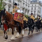 Major Apollo takes centre stage during the coronation procession of King Charles III.