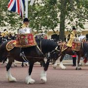 Major Apollo and Major Juno, both from Dyfed Shire Horse Farm, make history at Trooping the Colour.