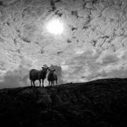 Images from the Wexford-Pembrokeshire Pilgrims' Trail have been captured by photographer Karel  Jasper