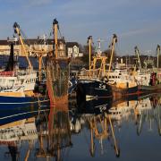 Milford Haven fish docks are to receive £2.6m
