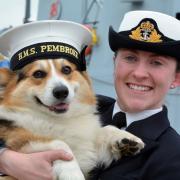 HMS Pembroke brought smiles to many a face on her visit to the county last year.