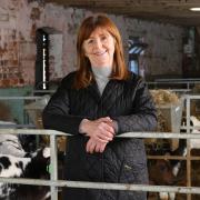 Lesley Griffiths, minister for rural affairs, has announced support payments for organic farmers.