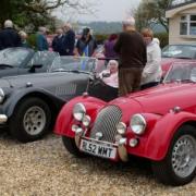 Some of the magnificent Morgans that will be taking part on today's event