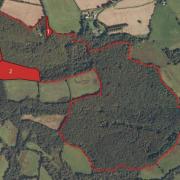 Ancient Pembrokeshire woodland extended by over 13 acres