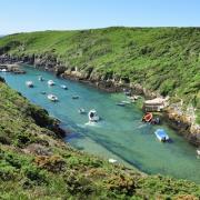 The St Davids and Porthclais walk is one of the best in the UK according to Go Outdoors