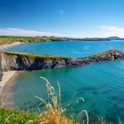 Walkers have been known to catch a glimpse of seals and dolphins while on this walk near St Davids.