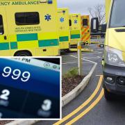 The ambulance service has revealed some of the most bizarre 999 calls it has received.