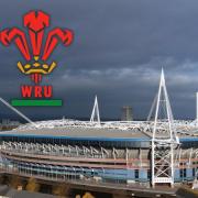 MSs scrutinised representatives of the WRU following allegations of bullying, sexism and sexual harassment in Welsh rugby