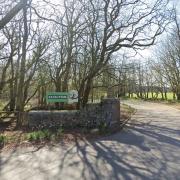 A man has been found guilty of careless driving and failing to stop after a crash at Scolton Manor Country Park.
