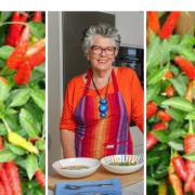 Prue Leith gets a taste of a fiery Pembrokeshire product on her show.