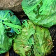 The rubbish which was fly-tipped in Ruthin