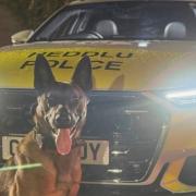 PD Tag helped locate the suspect.