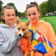 Bethan and Macey Dagger with puppy ‘Snoot’. PICTURE: Martin Cavaney.
