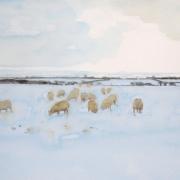 The sheep in the snow at Woodstock