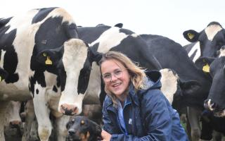 Mary Raymond fears her family’s herd will never be free of TB. Picture: Debbie James