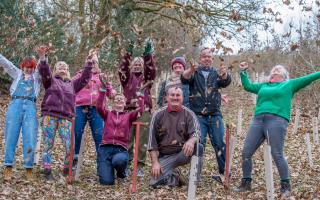 450 trees have been planted to create Coed Cwmpassin Llanfyrnach.
