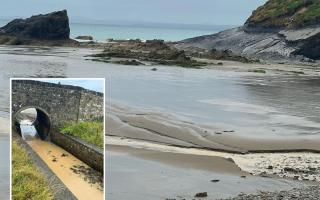 Swimmers have been asked not to go in the water at Broad Haven Beach due to concerns over water quality.
