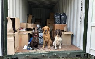 Tobacco search dogs Bran, Cooper and Griff with the some of the counterfeit cigarettes they helped to find.