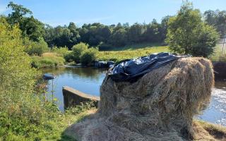 Bales have been pushed in the river and other have had the plastic covering ripped off.