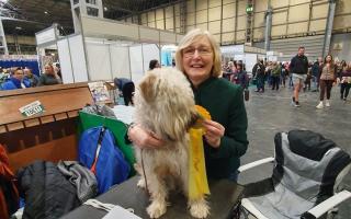 Margaret Harries with Mungo and his third place rosette at Crufts. Picture: Margaret Harries