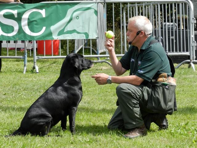 More than 90,000 people attended the Pembrokeshire County Show this year with the 2014 show being hailed the best in a decade. 
Pictures: Photographer Lisa Soar and Western Telegraph reporters Jenny Hanson, Joanna Sayers, Ceri Coleman-Phillips and chief 