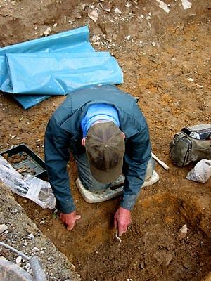 Archaeologists excavate the medieval dog grave