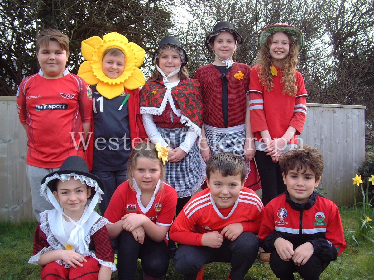 South Pembrokeshire pupils show their St David's Day pride. PICTURE: Western Telegraph